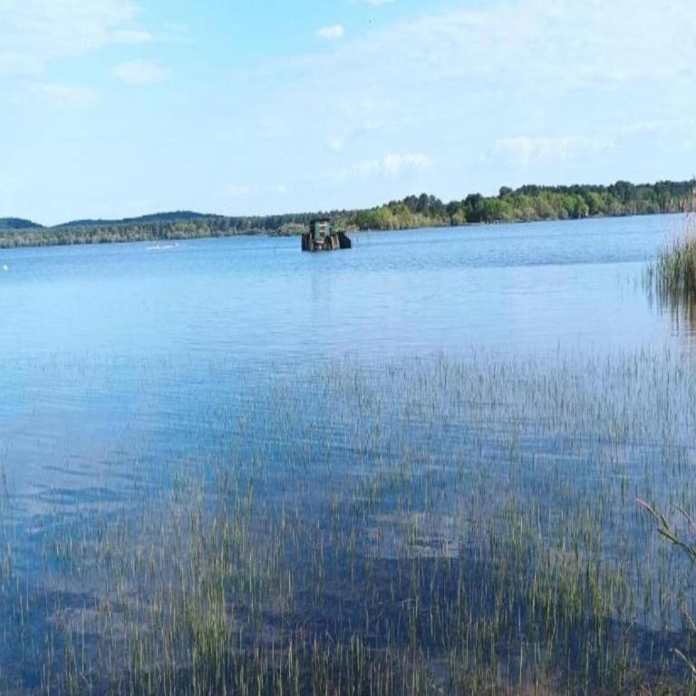 Studio in Biscarrosse near Sandy Beach - Appartement - 7
