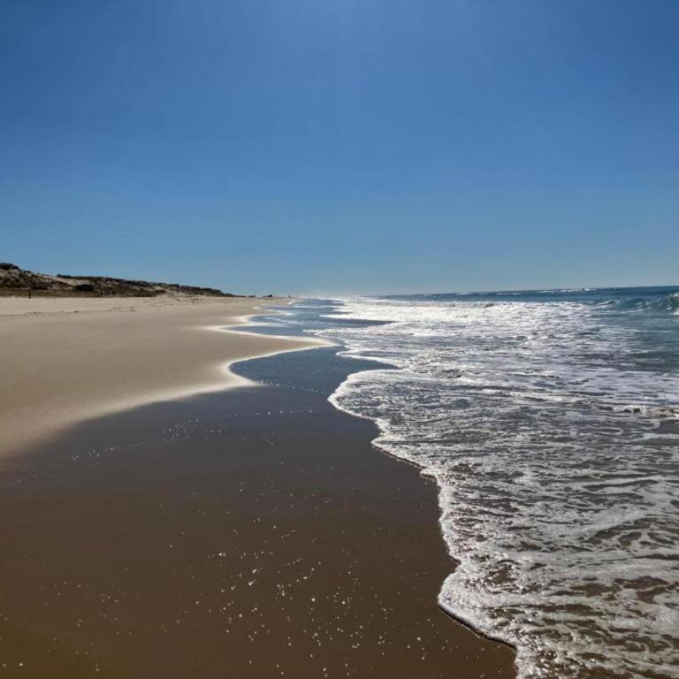 Studio in Biscarrosse near Sandy Beach - Appartement - 24