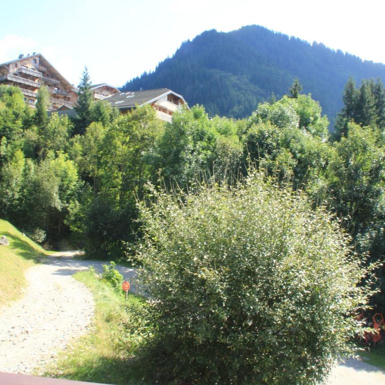 Duplex in Châtel near Portes du Soleil Gondola - Appartement 2 Chambres - 22