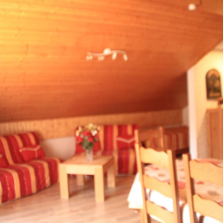 Duplex in Châtel near Portes du Soleil Gondola - Appartement 2 Chambres - 13