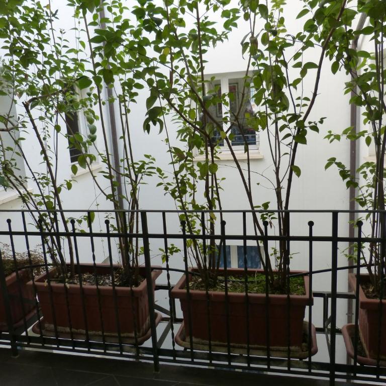 Residenza Piazza Santo Stefano - Appartamento Superior - 10