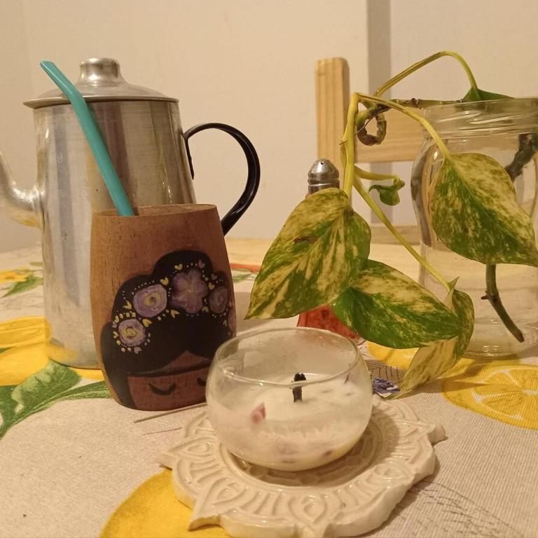 Bello departamento con tres balcones en barrio sur - Apartamento de 1 dormitorio - 1