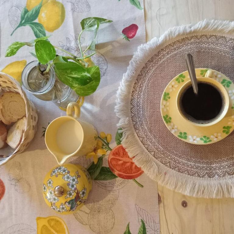 Bello departamento con tres balcones en barrio sur - Apartamento de 1 dormitorio - 4