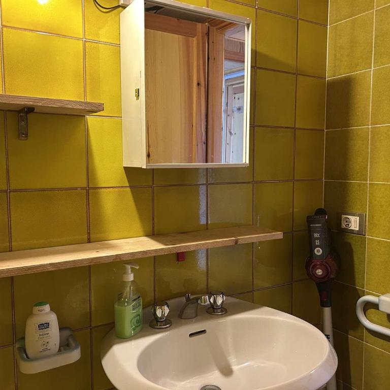 Studio Montagnard 2-3 Pers, Balcon, Parking - FR-1-330D-153 - Apartment - 5