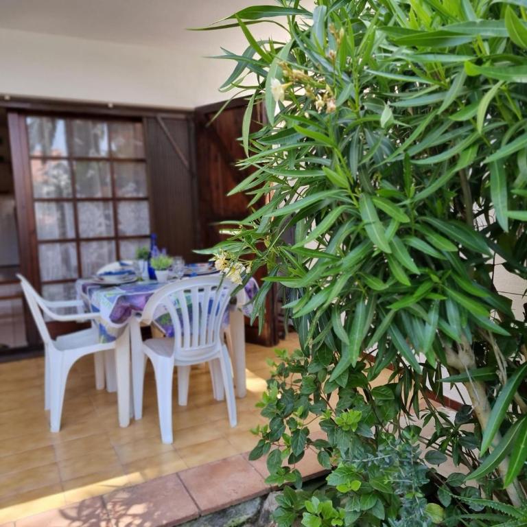 Apartamento con terraza y piscina a 300m de la playa - HISP-236-182 - Appartement - 4