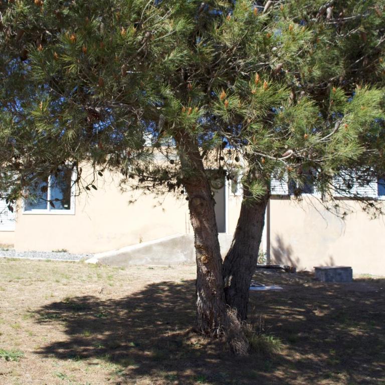 Sierras de Paz - Casa de 2 dormitorios - 6