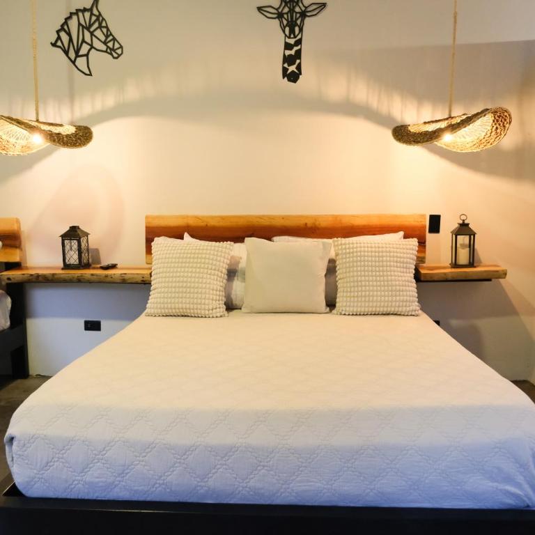 Jungla EcoLuxury Resort - Suite Familiar Deluxe - 3