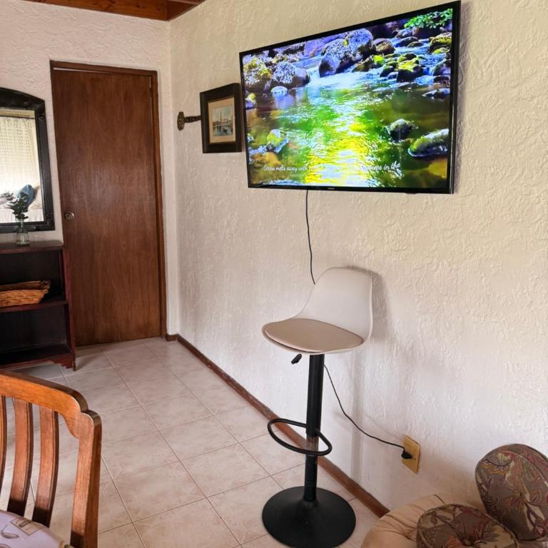 Mar 11 -ALOHA - Family Room - 29