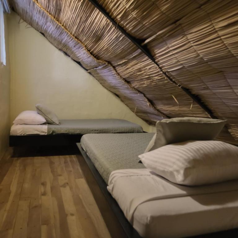 Jungla EcoLuxury Resort - Suite Familiar - 3