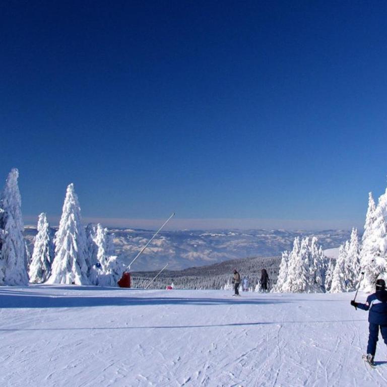 Deluxe Mountain View Studio ViS in Residence Hill Hotel Kopaonik - One-Bedroom Apartment - 29