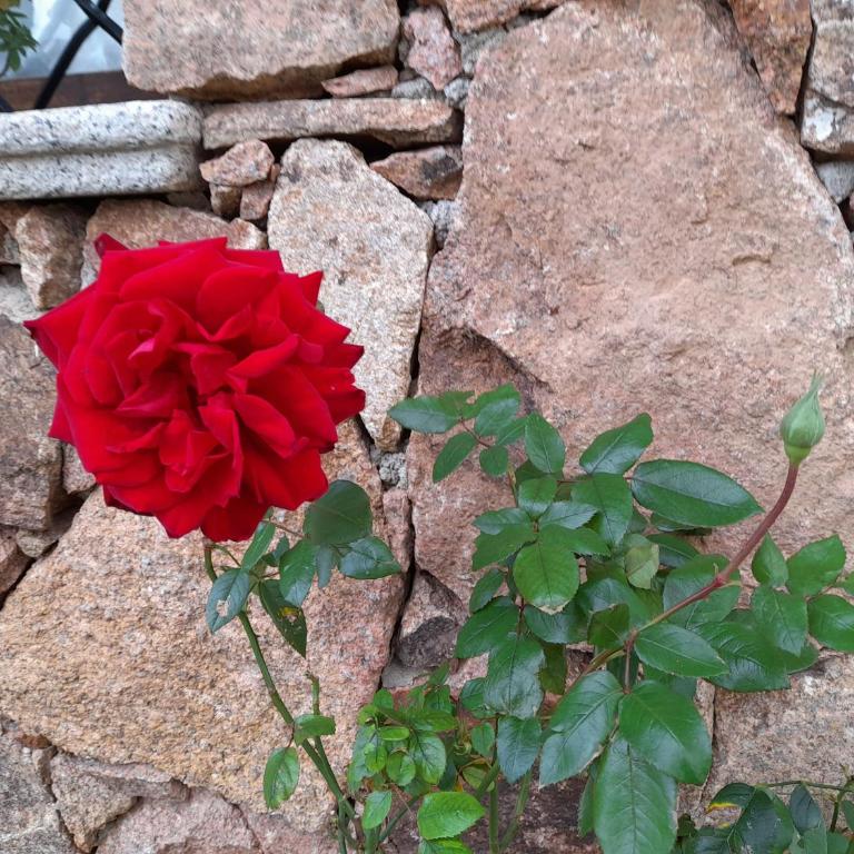 ACQUAMARINA con meraviglioso giardino - Casa con 2 Camere da Letto - 29