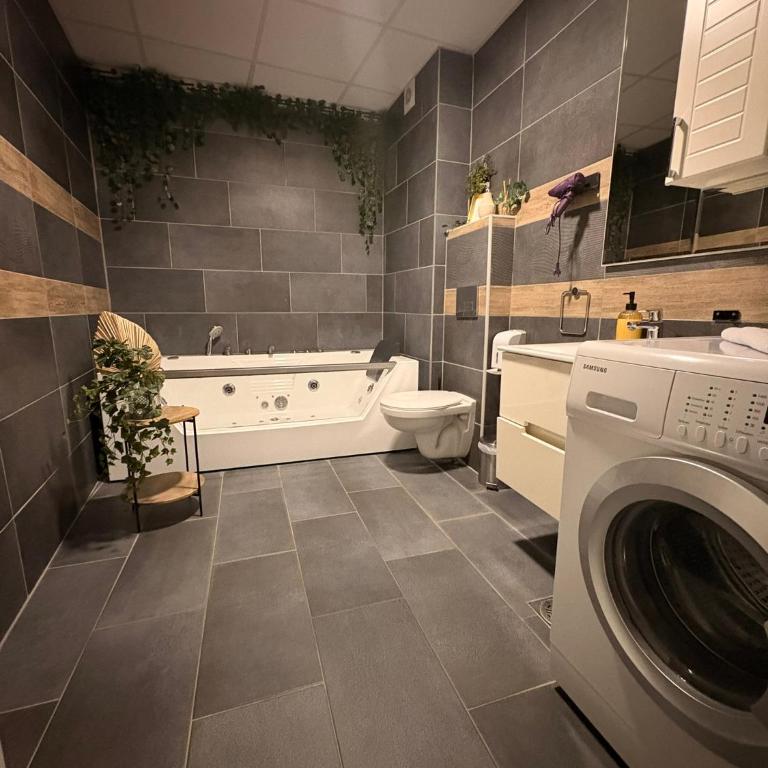 NAR Royalton Deluxe Apartment #74 Free Parking - One-Bedroom Apartment - 11