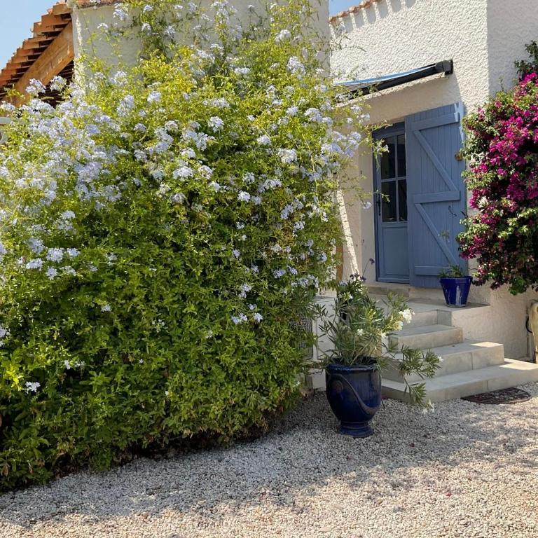 LVAM Villa Maraval 8 Guests 4 Bedrooms Swimming Pool - Villa - 14