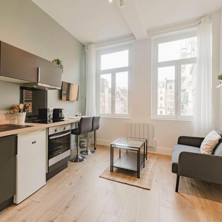 Lille Centre - Nice and functional ap. - Apartment - 2