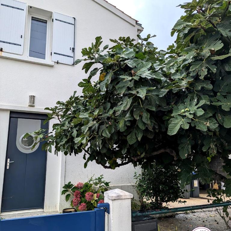 Maison familiale tout confort et idéalement placée - Casa con 3 Camere da Letto - 4