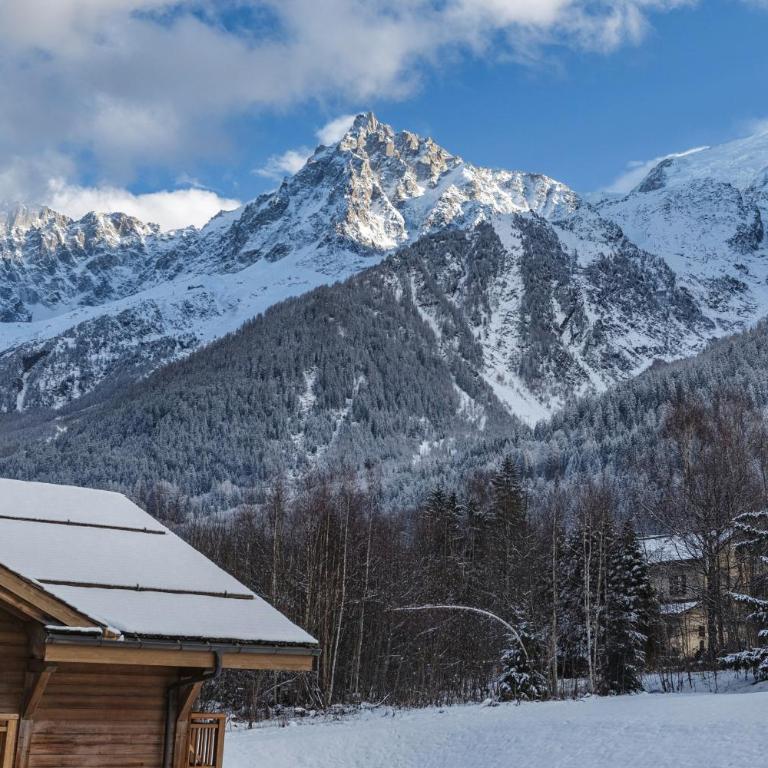 Le Hameau des Glaciers - Ski & Vue Incroyable - Appartement - 19