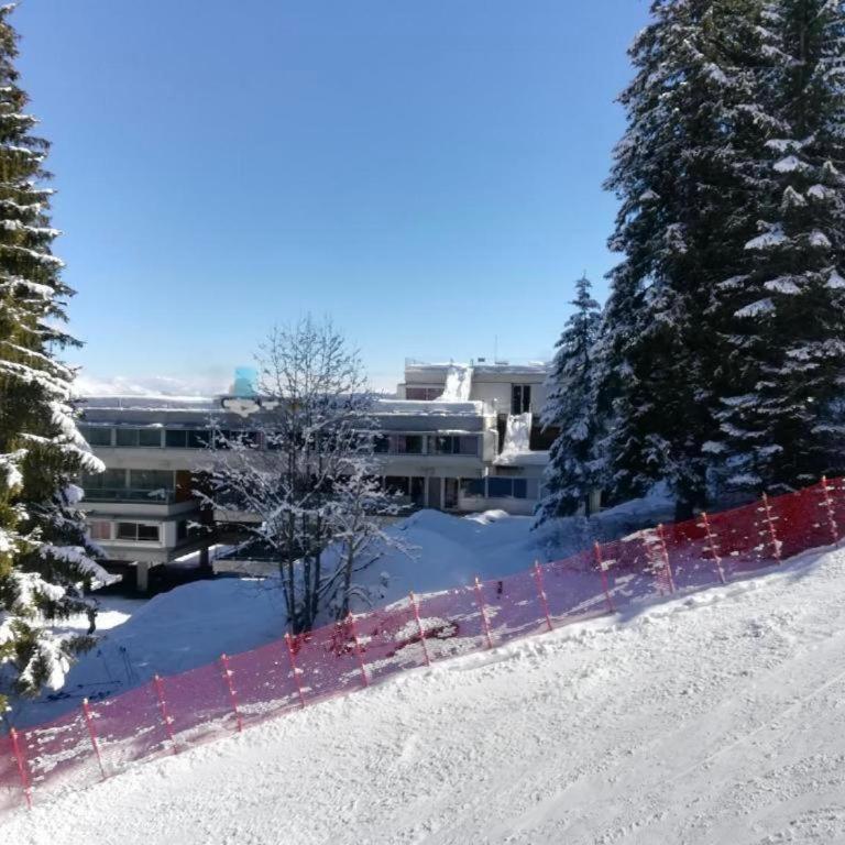 Residence Sole Alto Marillleva 1400 - vista bosco - Appartamento con 2 Camere da Letto - 15