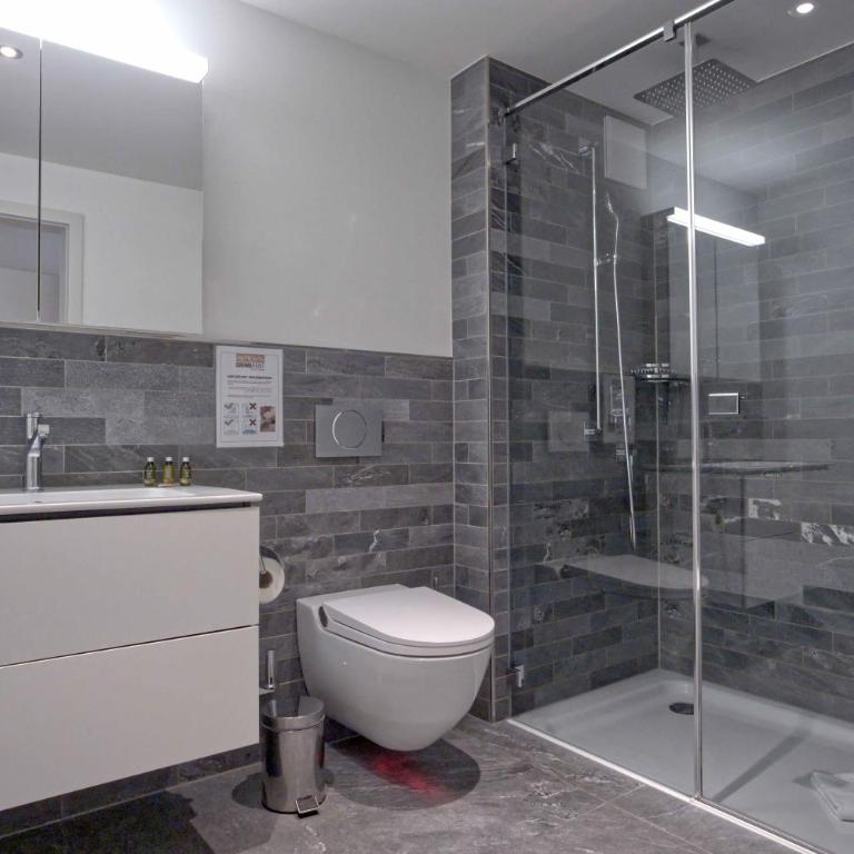 Apartment JungfrauCenter Brienzersee - GRIWA RENT - Apartamento - 8
