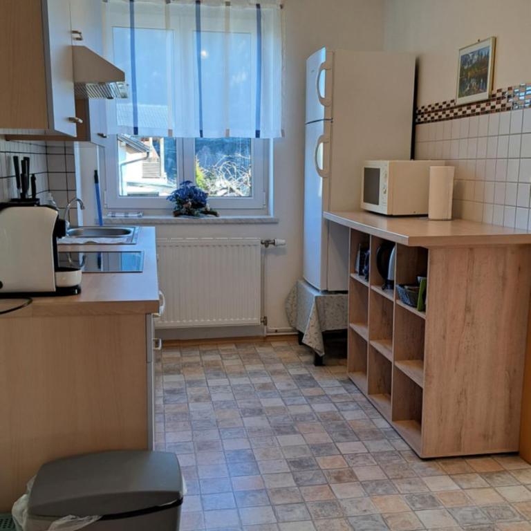 Appartementhaus Alpina - Appartamento con 2 Camere da Letto - 12