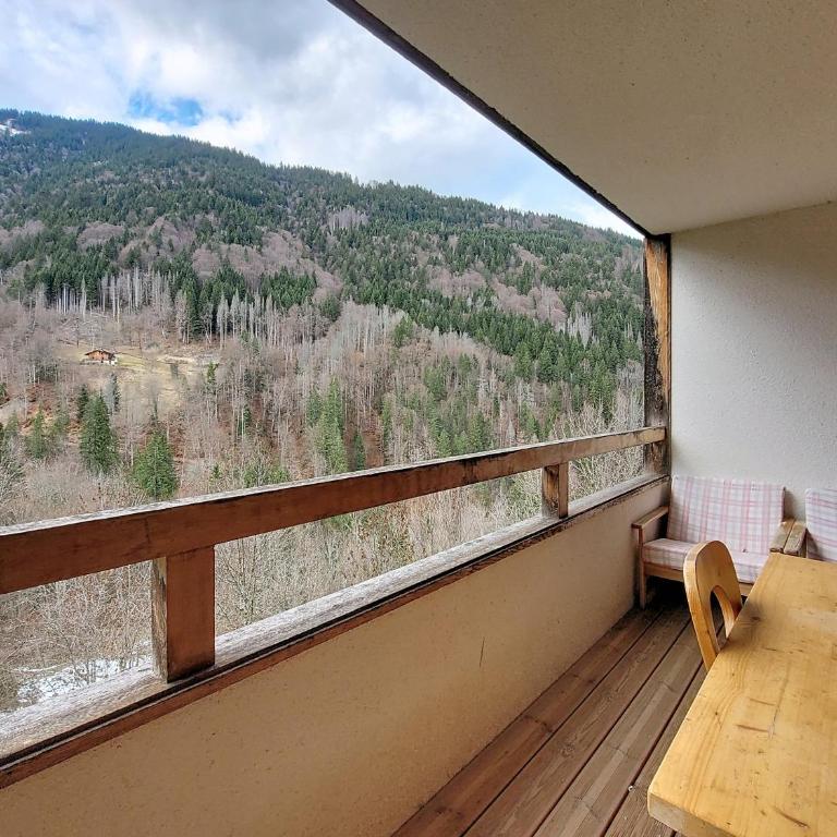 Enchaple S61 - Studio avec Balcon - 12