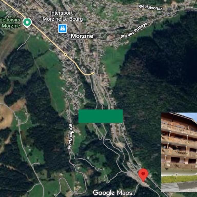 Appartement 4-6 pers au pied des pistes Morzine, animaux admis, parking - FR-1-754-28 - Apartment - 4