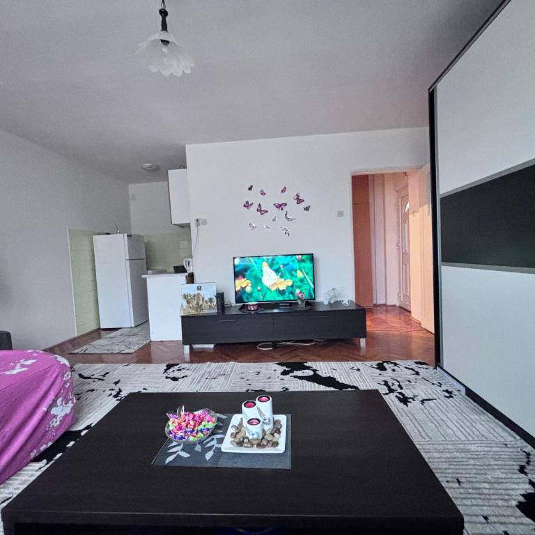 Stan na dan - Apartman sa 1 Spavaćom Sobom - 4