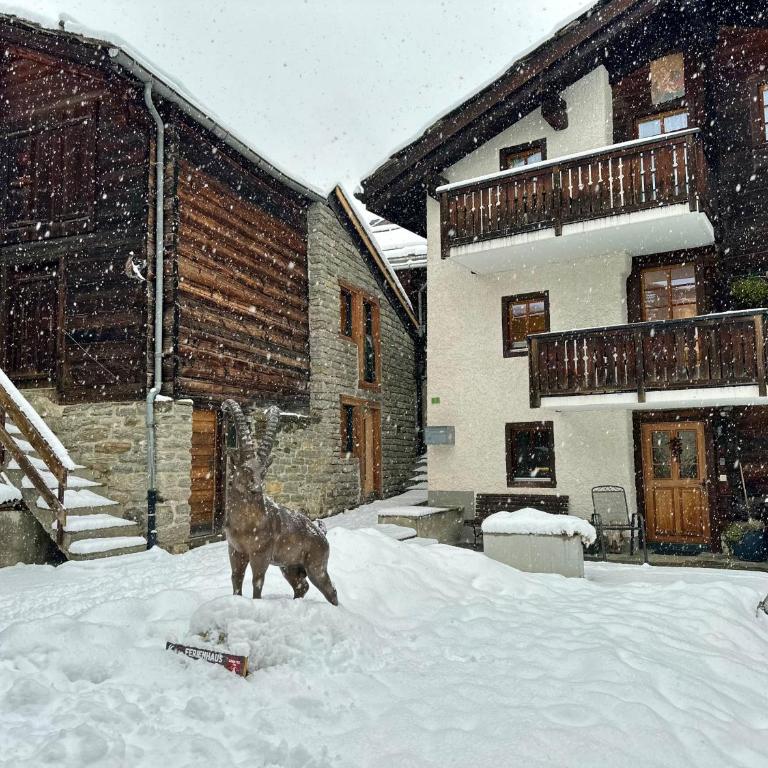 Tiny House IBEX - Apartment mit 1 Schlafzimmer - 49