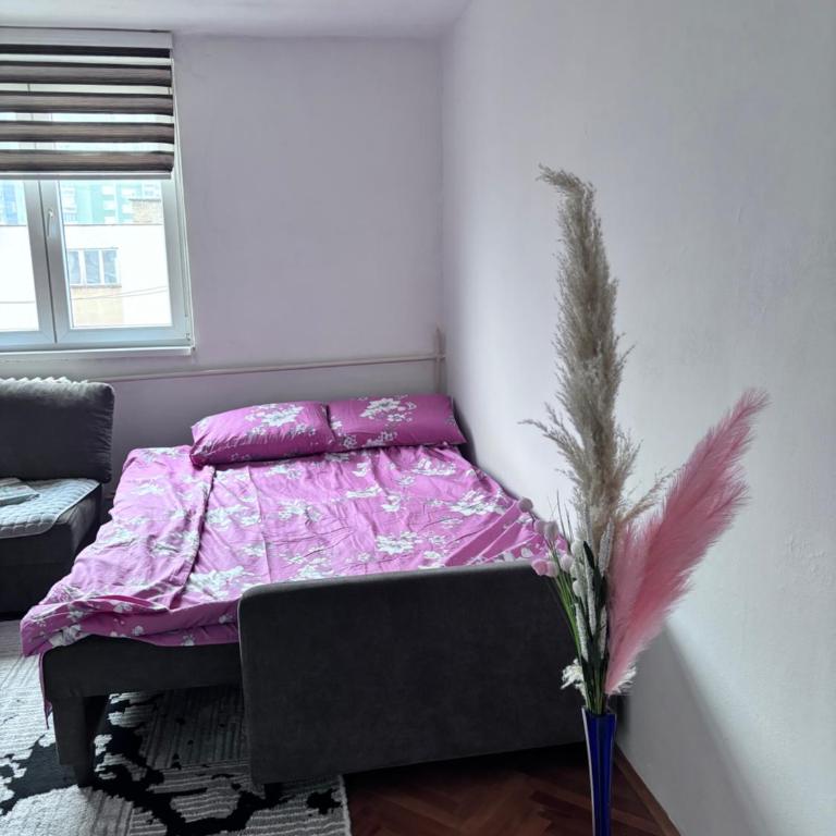 Stan na dan - Apartman sa 1 Spavaćom Sobom - 2