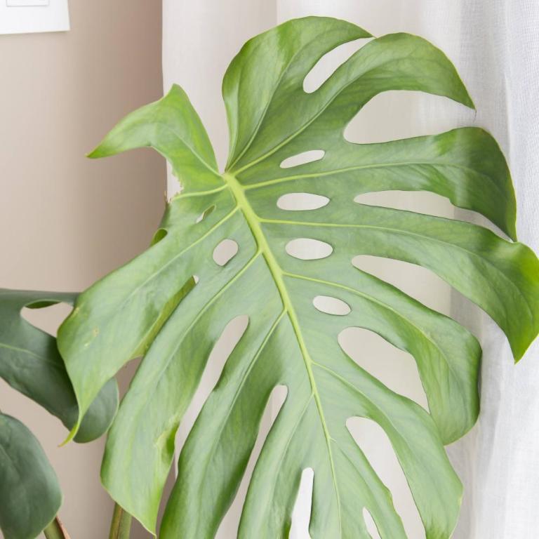 Depto con Pileta y SUM-Ideal Parejas - One-Bedroom Apartment - 10