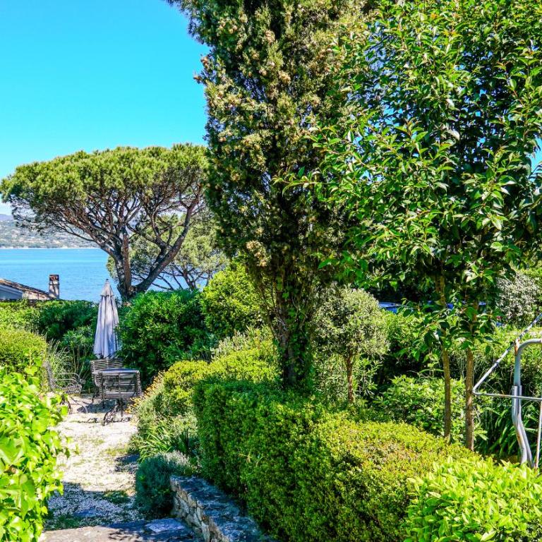 Hôtel Villa Maya - Golfe de Saint-Tropez - Suite Junior con vistas a la piscina - 1