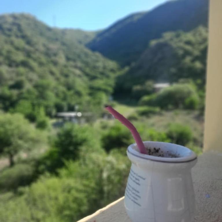 Cabañas Lo Soñado en Comuna San Roque a minutos de Carlos Paz - Chalet de 2 dormitorios - 7