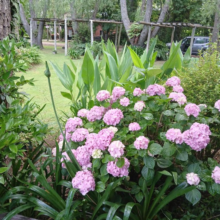 Dielmeral Cabañas - Apartamento con vistas al jardín - 8