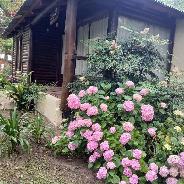 Dielmeral Cabañas - Apartamento con vistas al jardín - 9