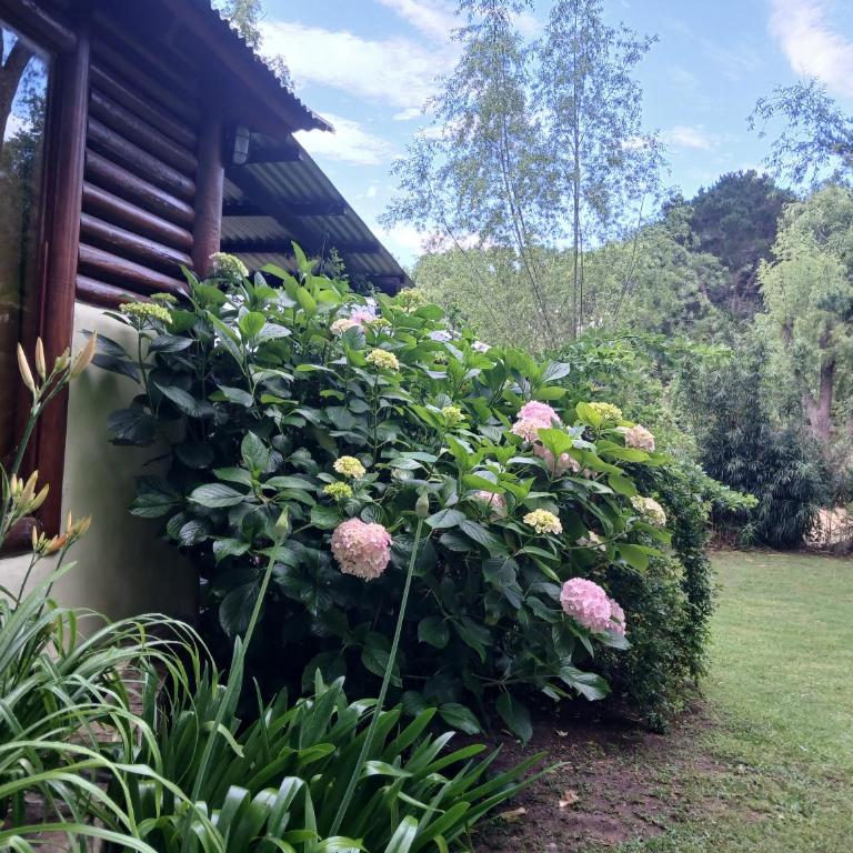 Dielmeral Cabañas - Apartamento con vistas al jardín - 12