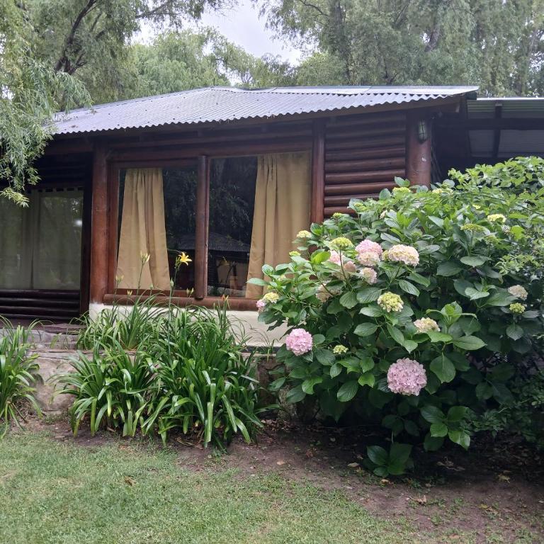 Dielmeral Cabañas - Apartamento con vistas al jardín - 15