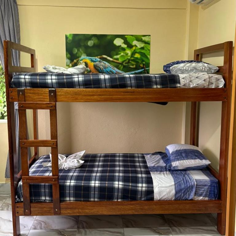 Hostal Tena Ñaui - Apartamento con vistas y balcón - 3