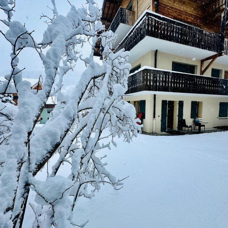Centre Gets, Jardin Privé, Accès Pistes à pieds - Apartamento de 2 dormitorios - 20
