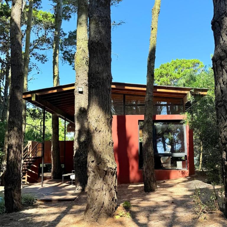 Moderna casa en valeria del mar rodeada de bosque - Casa de 2 dormitorios - 3