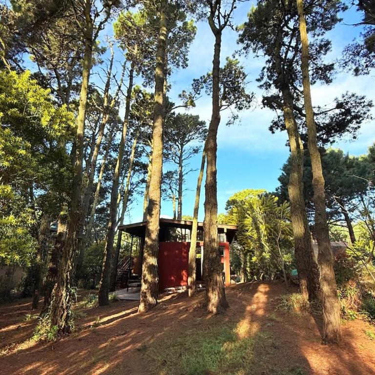 Moderna casa en valeria del mar rodeada de bosque - Casa de 2 dormitorios - 15