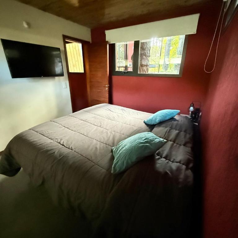 Moderna casa en valeria del mar rodeada de bosque - Casa de 2 dormitorios - 7