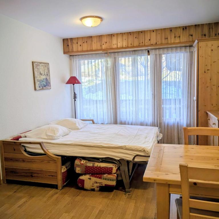 Centre Thermal 2 chambres studio EV210 - Apartment mit 1 Schlafzimmer - 4