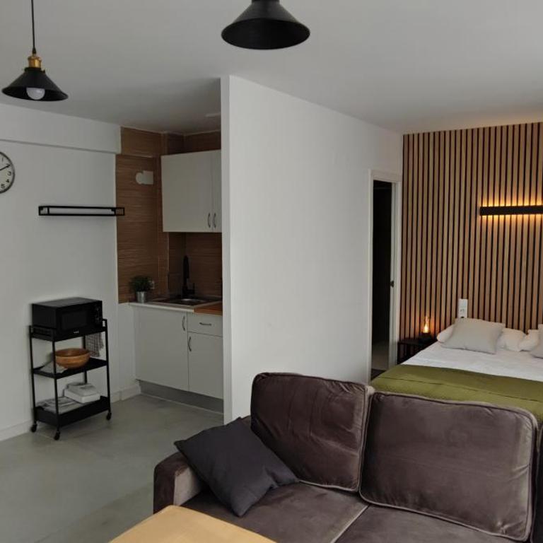 Apartamento En La Ciudad De Las Artes y Las Ciencias - One-Bedroom Standard Apartment - 4