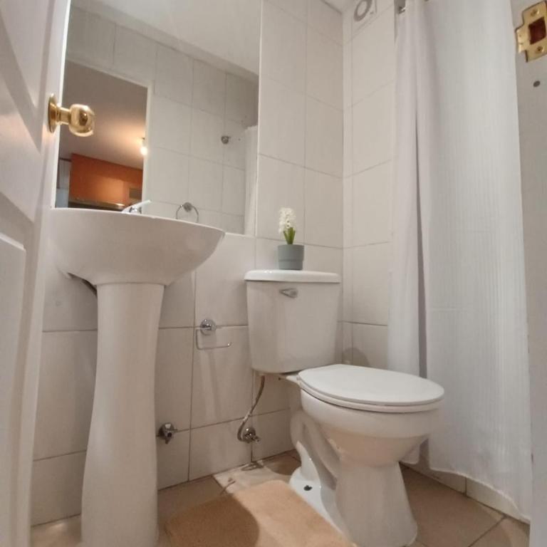 Campus Life - Two-Bedroom Apartment with City View - 4