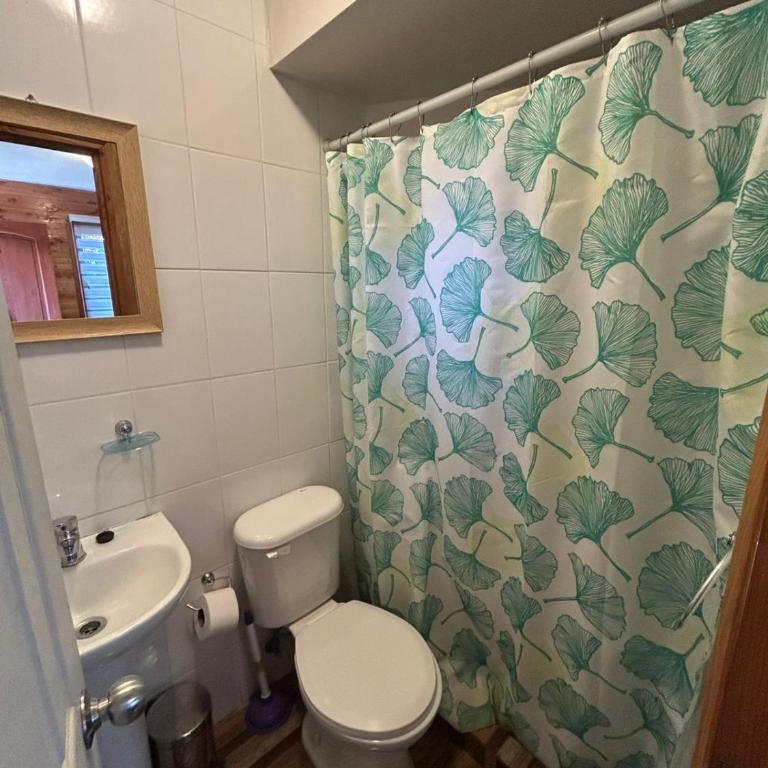 cabañas los Ulmos - Apartamento - 2 niveles - 9