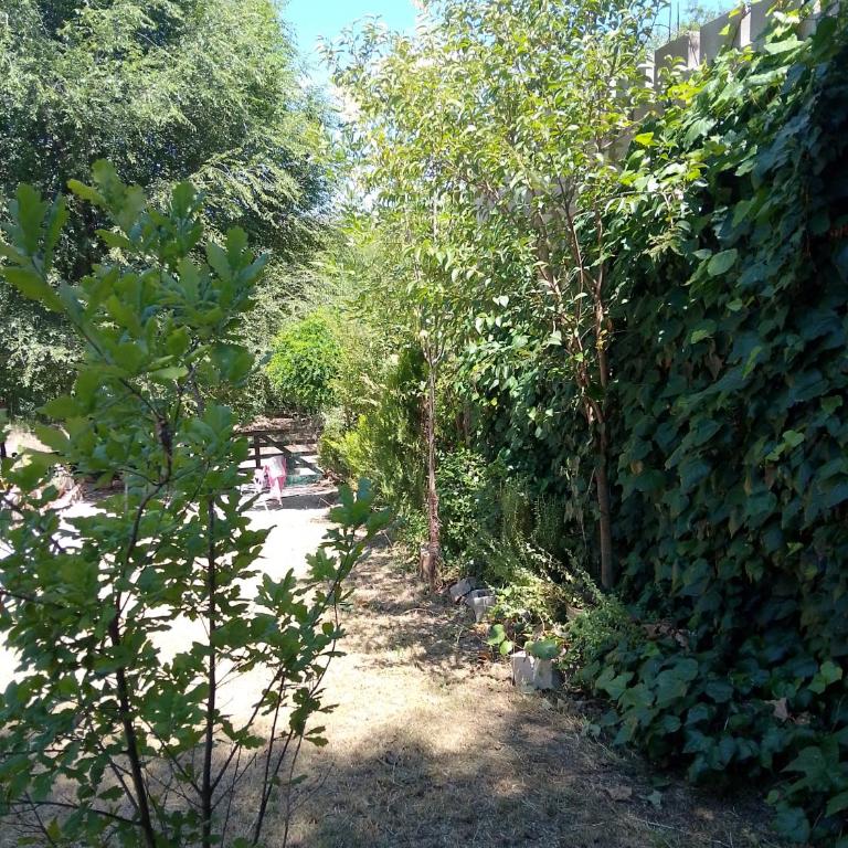 La tranquera - Casa con 1 dormitorio - 19