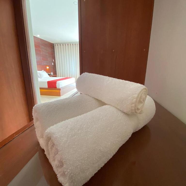 HOTEL OSHO - Suite Junior - 11