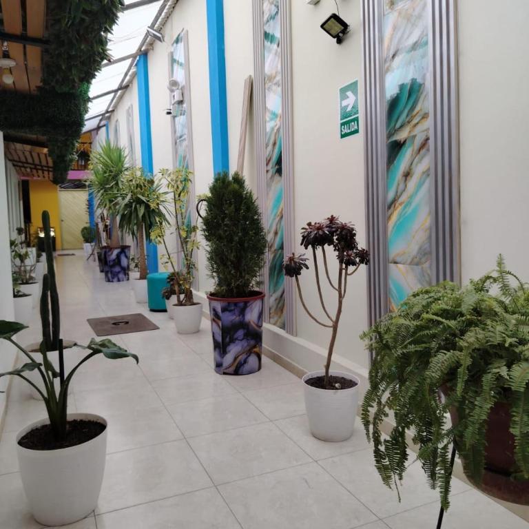 Concubinas del Inca - Habitación Individual - 5