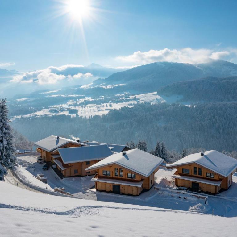 Alpenchalets Oberlaiming - Apartamento de 2 dormitorios - 1