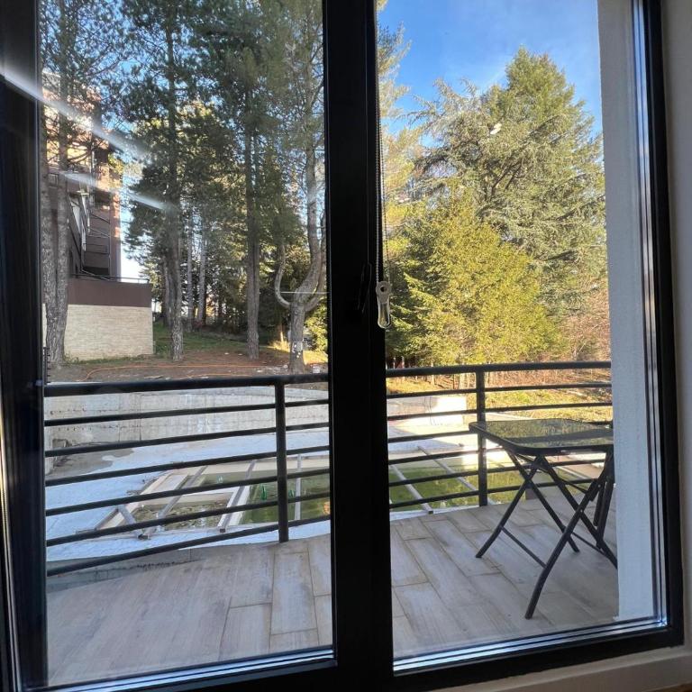 Story Zlatibor - Deluks Apartman s 1 Spavaćom Sobom - 16