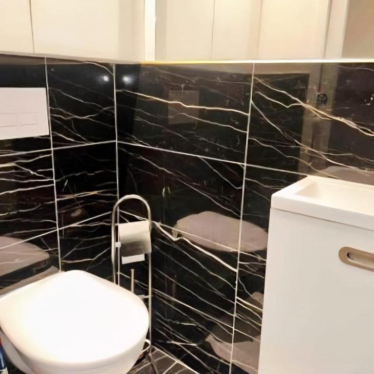 Effeil Tower Luxury Apartment Trocadéro -2 bedrooms - Appartement 2 Chambres Deluxe - 12